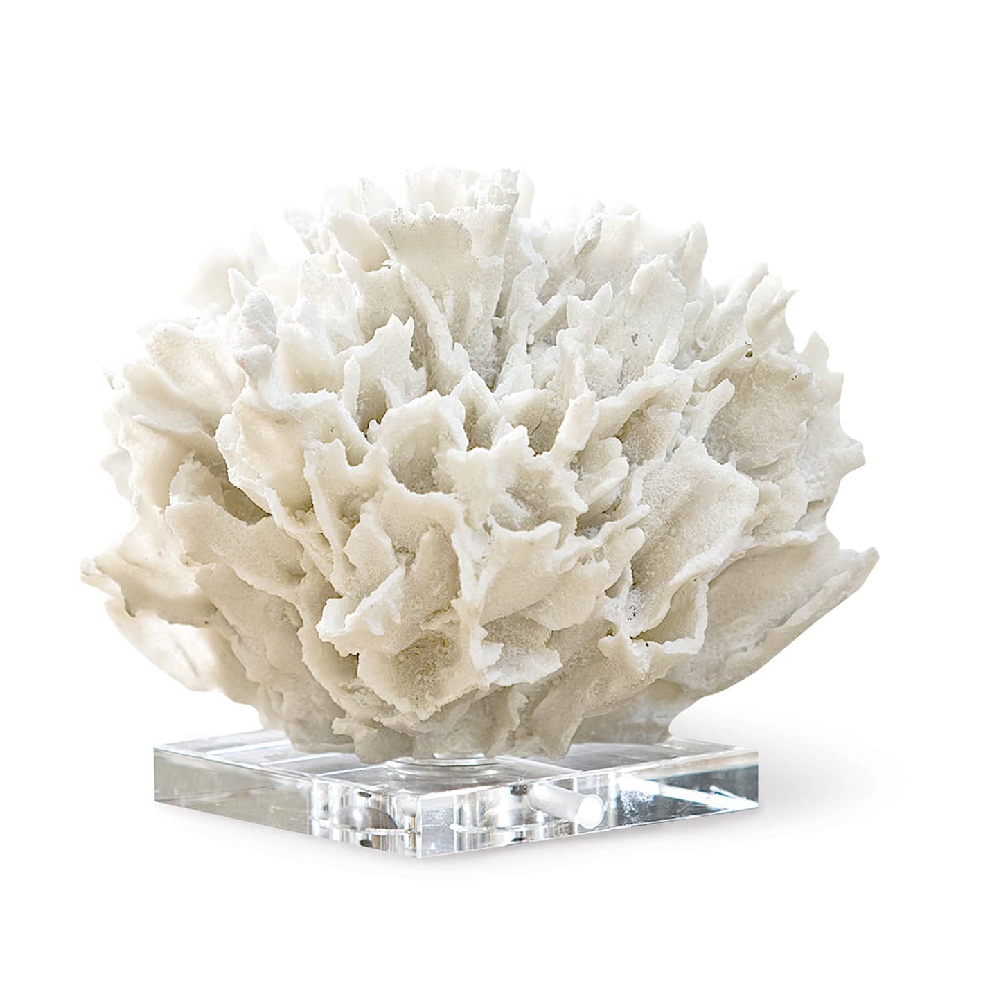 Ribbon Coral White By Regina Andrew | Sculptures | Modishstore - 5