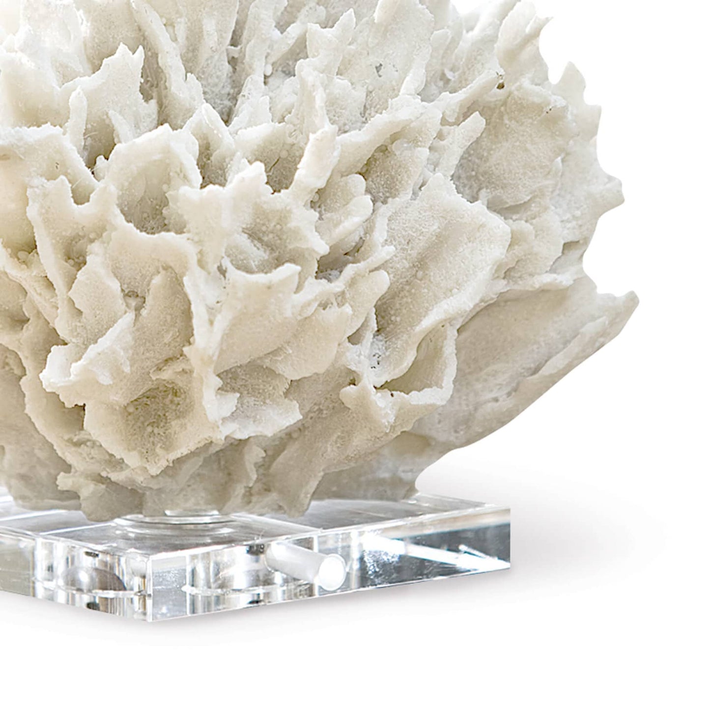 Ribbon Coral White By Regina Andrew | Sculptures | Modishstore - 3