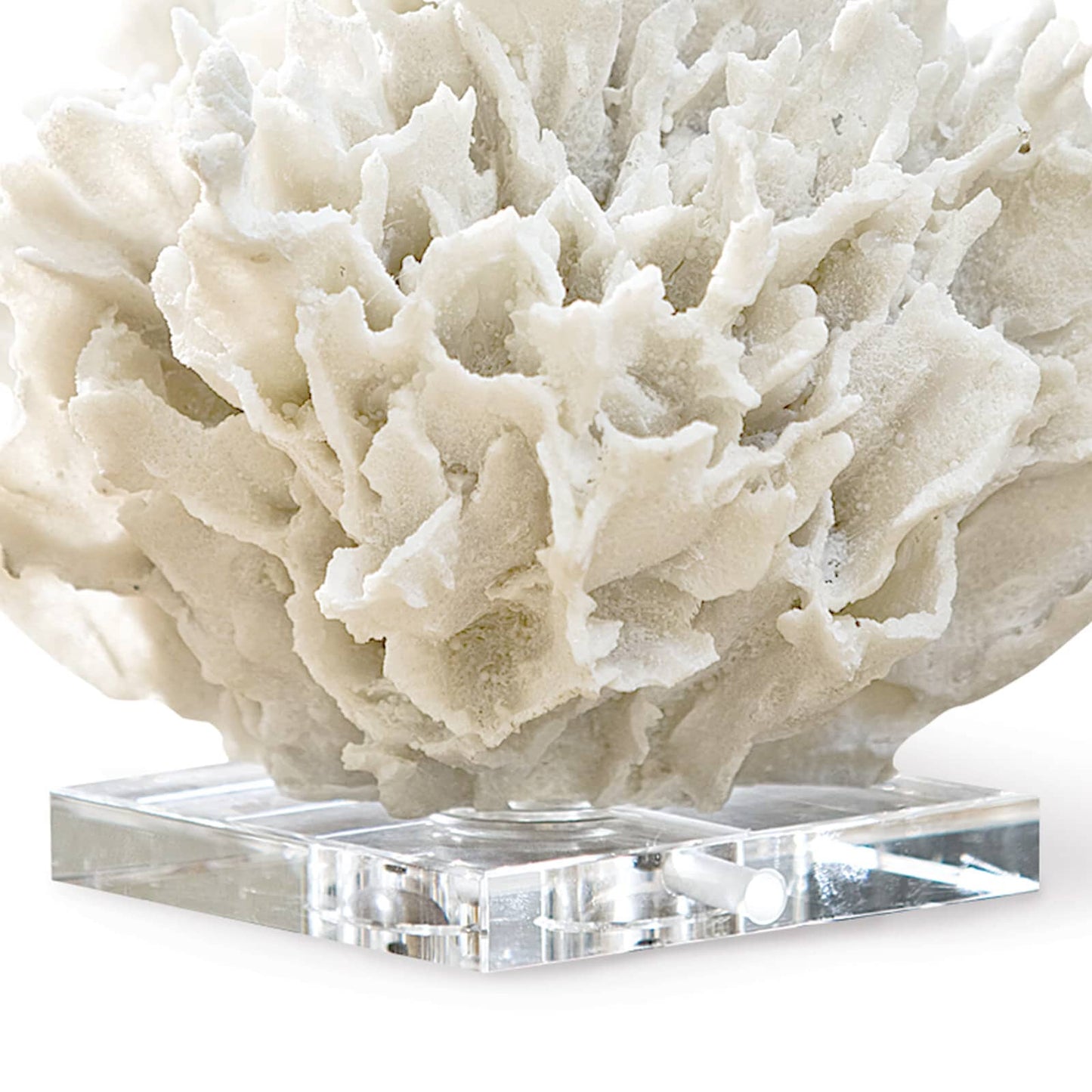 Ribbon Coral White By Regina Andrew | Sculptures | Modishstore - 2