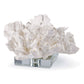 Flower Coral On Crystal Base White By Regina Andrew | Sculptures | Modishstore