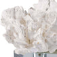 Flower Coral On Crystal Base White By Regina Andrew | Sculptures | Modishstore - 4