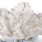Flower Coral On Crystal Base White By Regina Andrew | Sculptures | Modishstore - 2