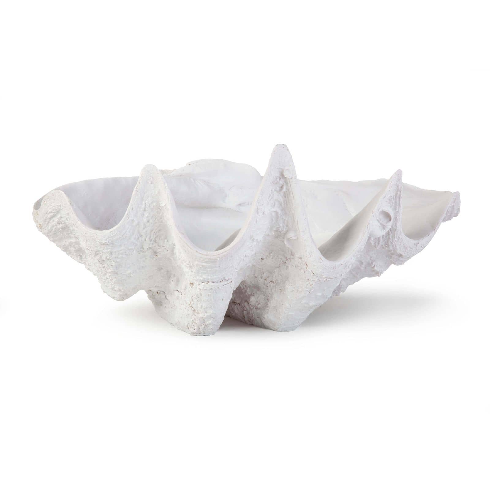 Bimini Clam By Regina Andrew | Sculptures | Modishstore - 2