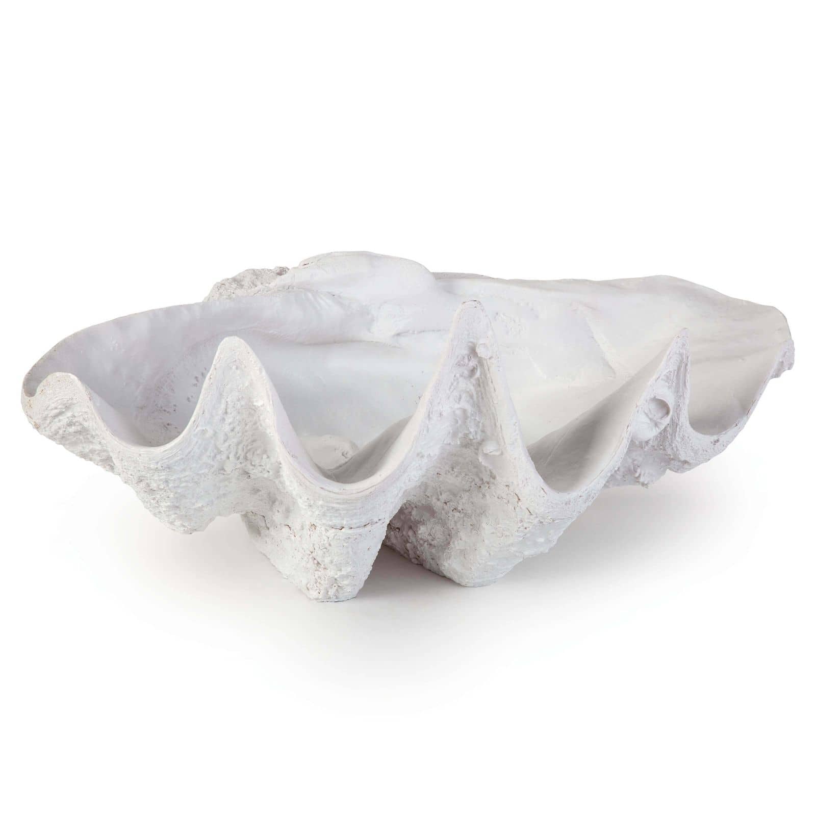 Bimini Clam By Regina Andrew | Sculptures | Modishstore - 5