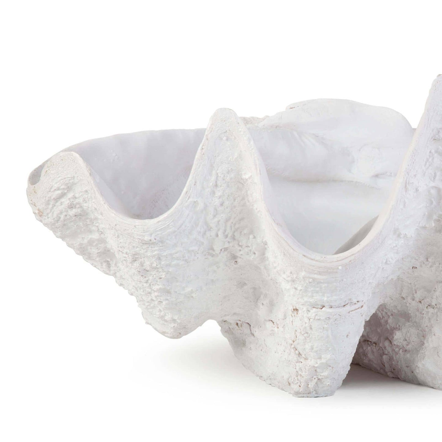 Bimini Clam By Regina Andrew | Sculptures | Modishstore - 4