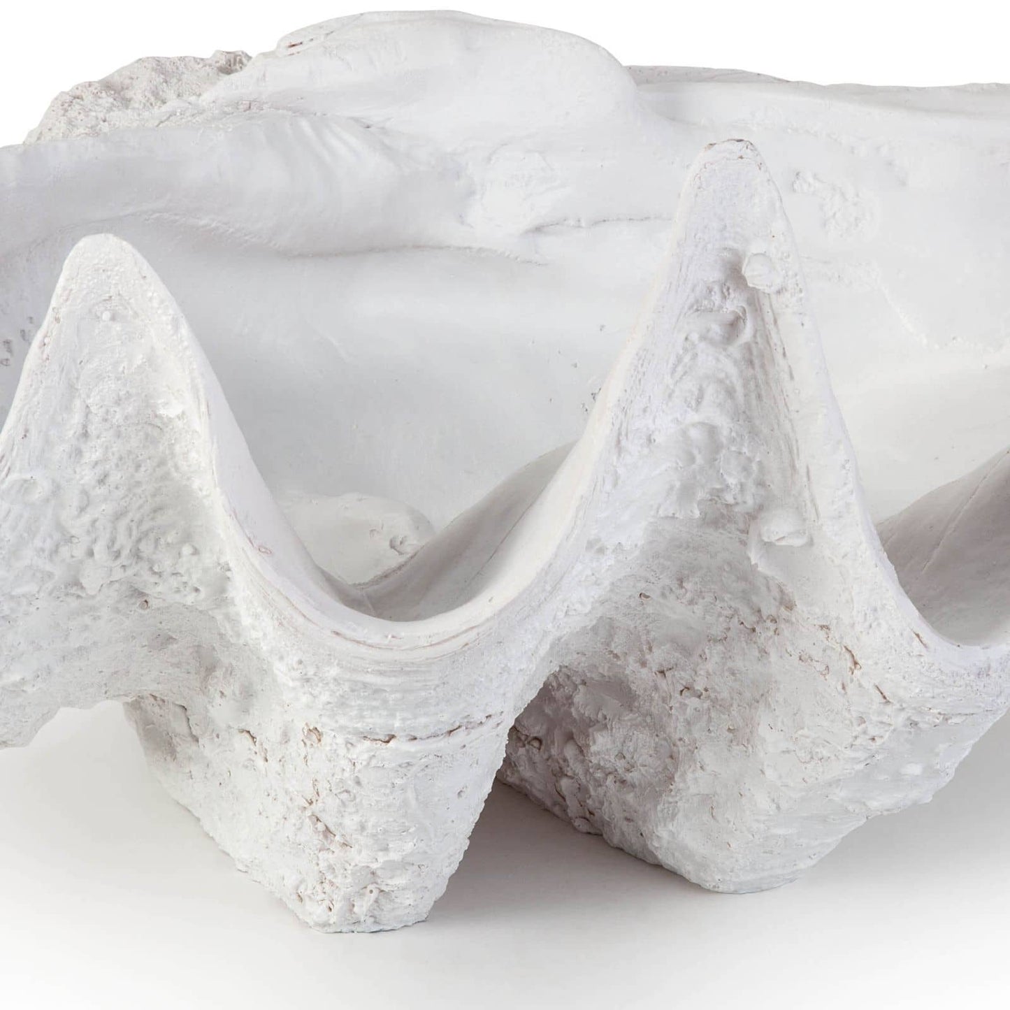 Bimini Clam By Regina Andrew | Sculptures | Modishstore - 3