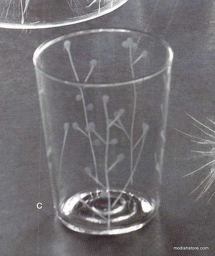 Roost Etched Botanical Glassware