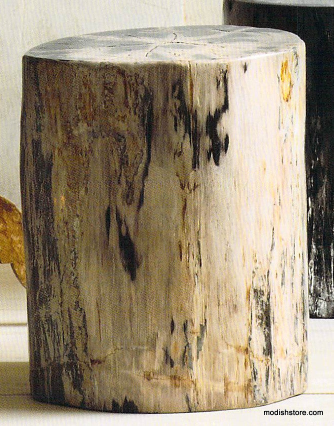 Roost Petrified Wood Stools-3