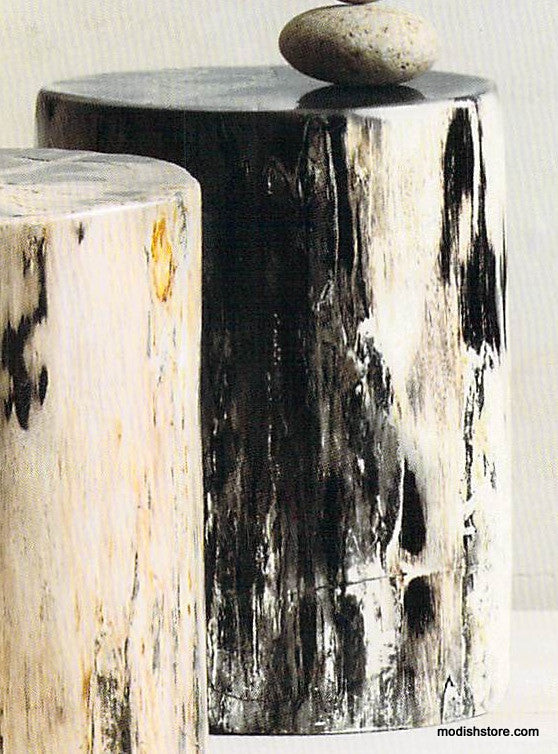 Roost Petrified Wood Stools-2