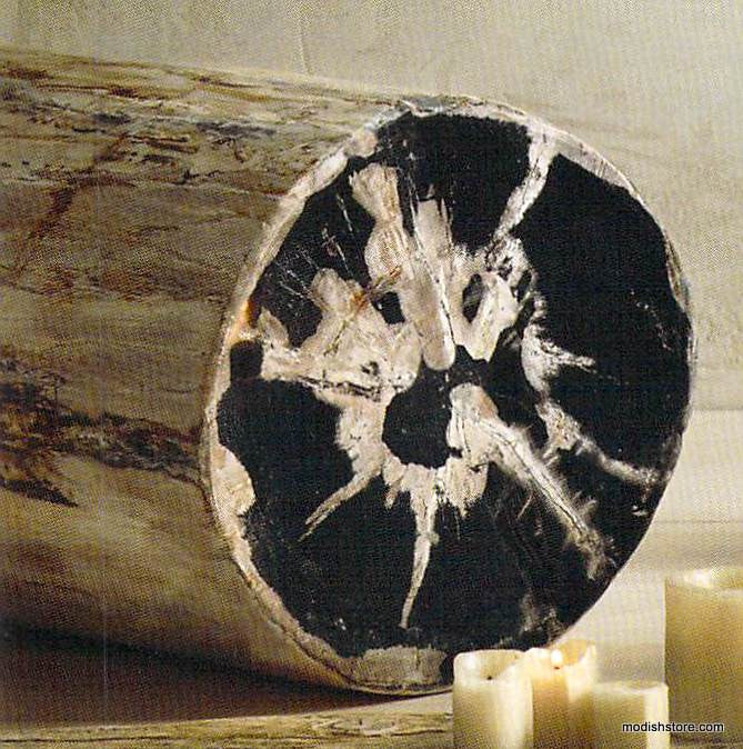 Roost Petrified Wood Stools-5