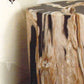 Roost Petrified Wood Stools-6