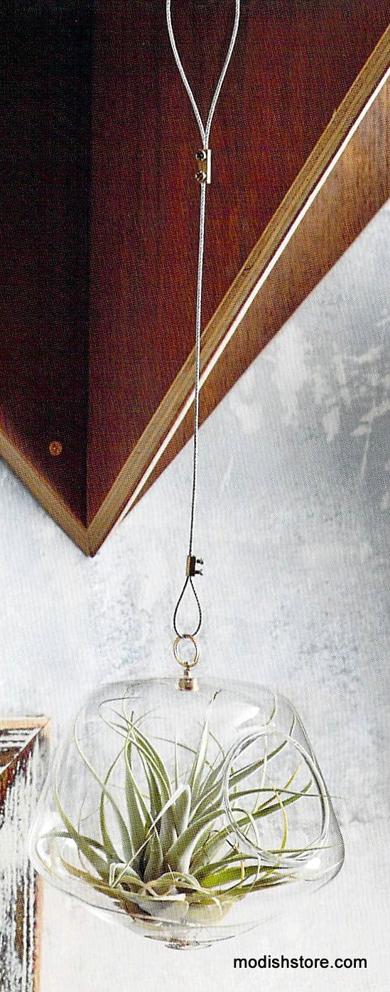 Roost Igloo Terrariums