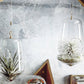 Roost Igloo Terrariums