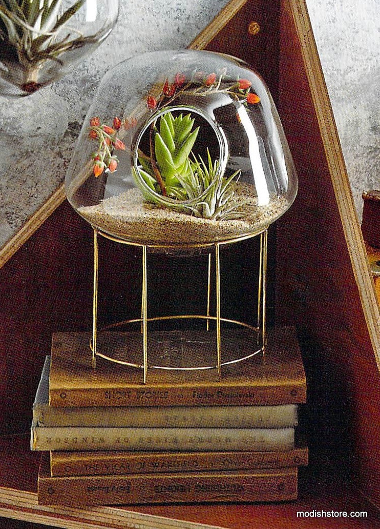 Roost Igloo Terrariums