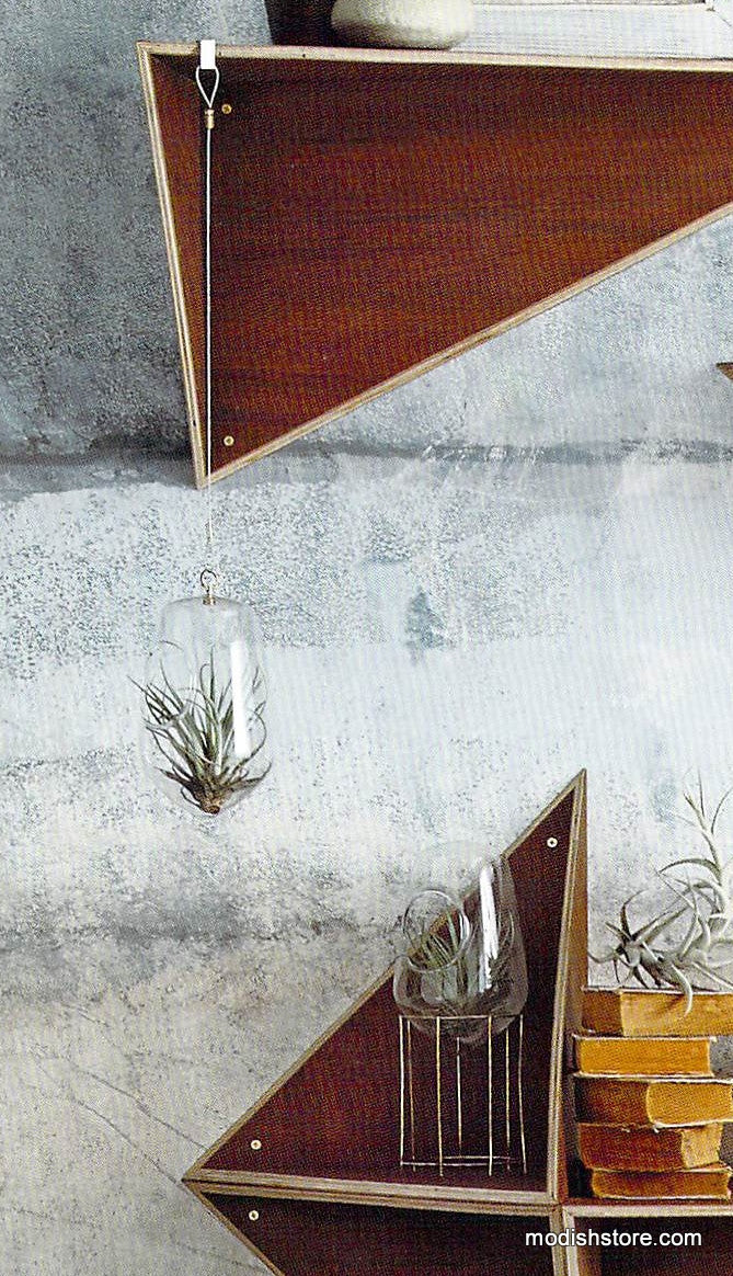 Roost Igloo Terrariums