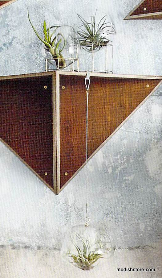 Roost Igloo Terrariums