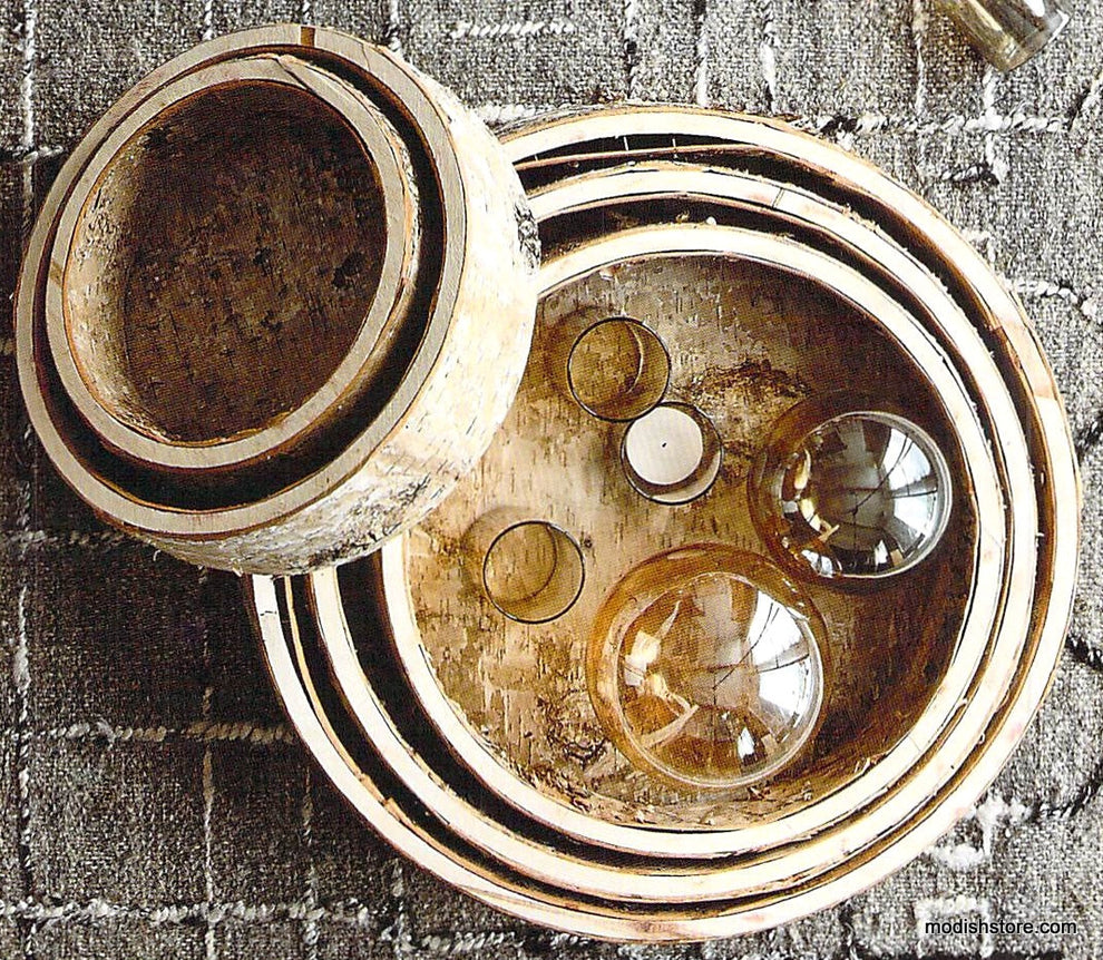 Roost Birch Shaped Trays - Set Of 5