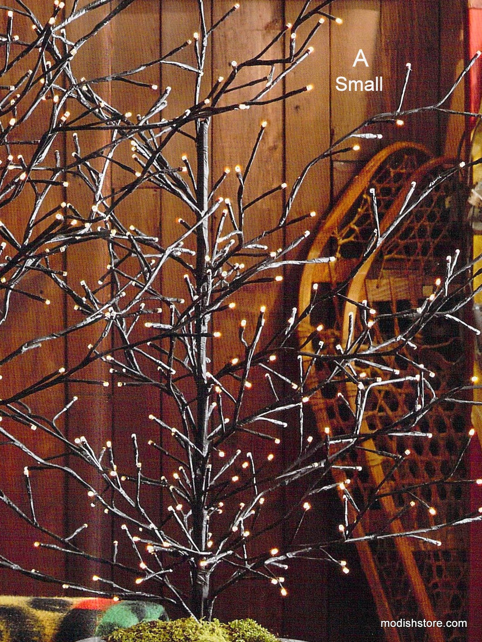 Roost Lighted Branchy Trees & Galveston Oval Planters