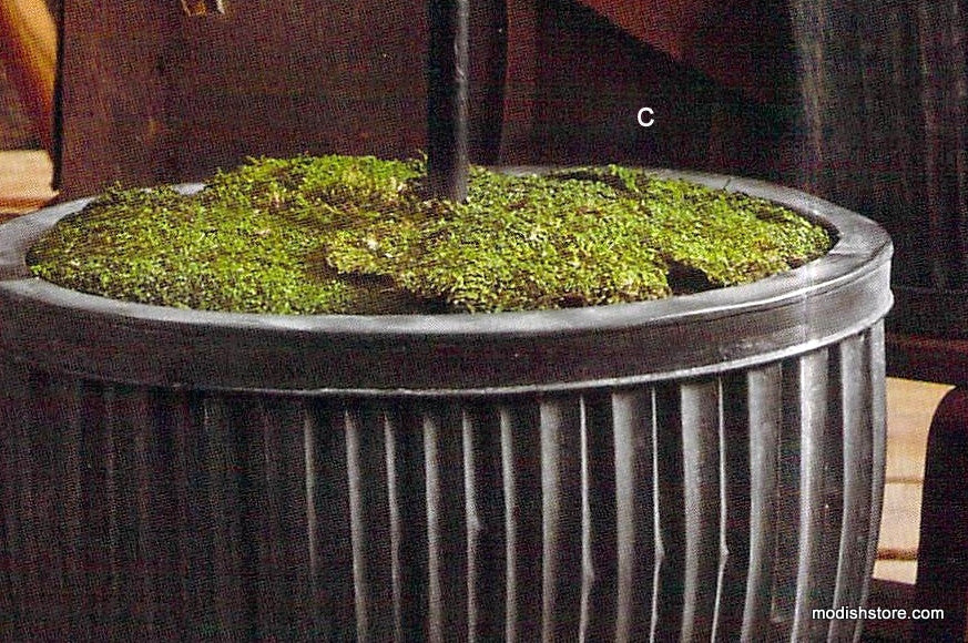 Roost Lighted Branchy Trees & Galveston Oval Planters