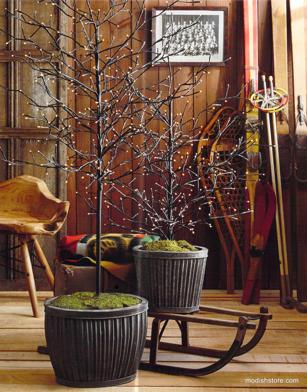 Roost Lighted Branchy Trees & Galveston Oval Planters
