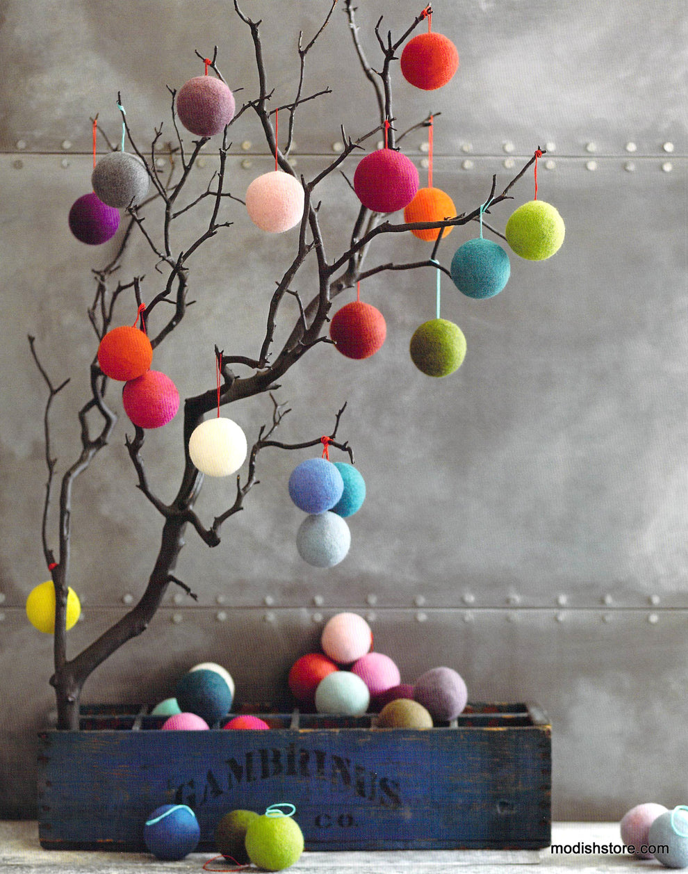 Roost Jubilee Collection