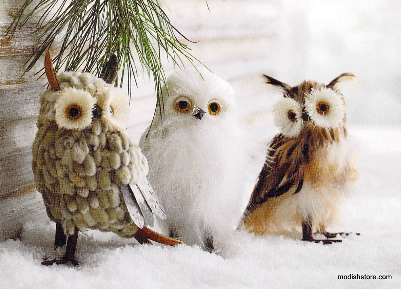 Roost Botanic Owl Ornaments - Set of 3