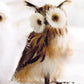 Roost Botanic Owl Ornaments - Set of 3