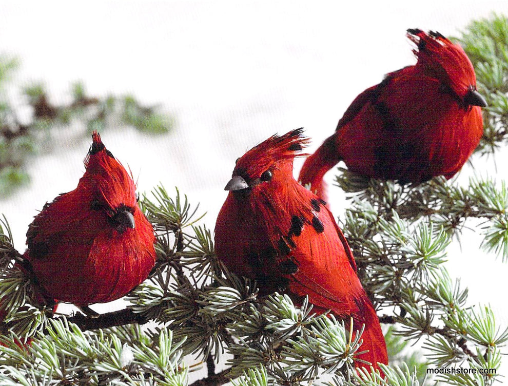 Roost Cardinal & Quail Ornaments