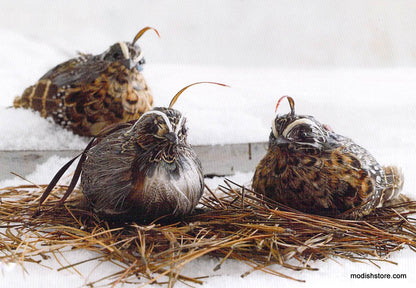 Roost Cardinal & Quail Ornaments