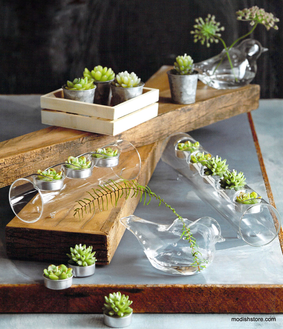 Roost Succulent Tealights