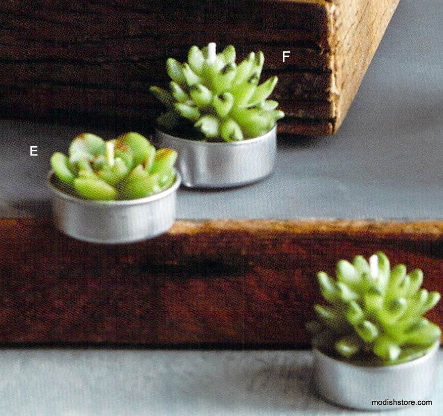 Roost Succulent Tealights