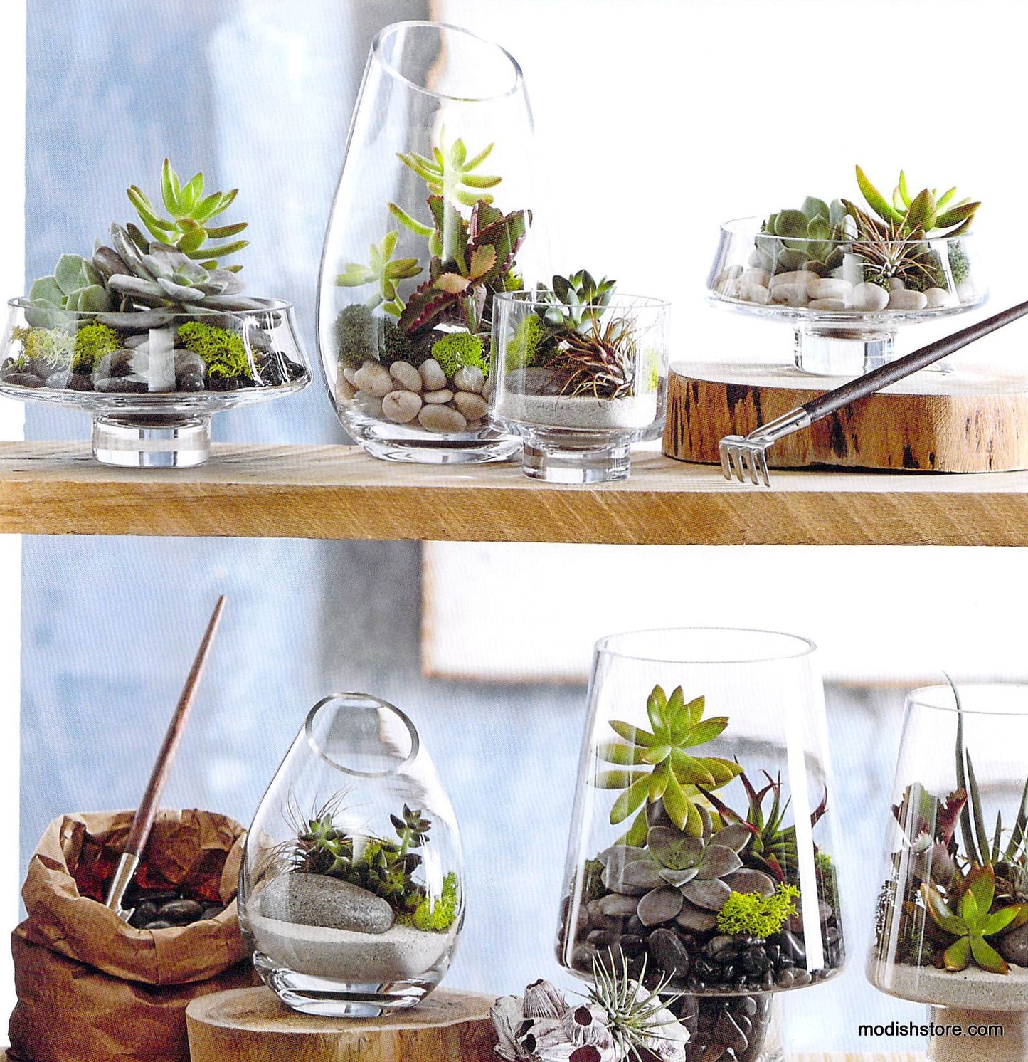 Roost Modern Glass Angle Footed Terrariums