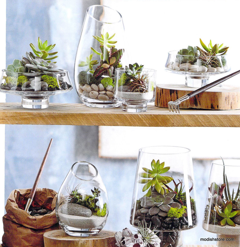 Roost Modern Glass Angle Footed Terrariums