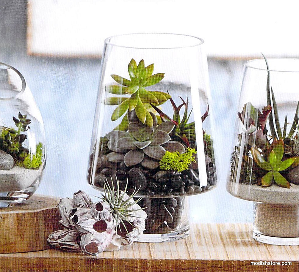 Roost Modern Glass Angle Footed Terrariums