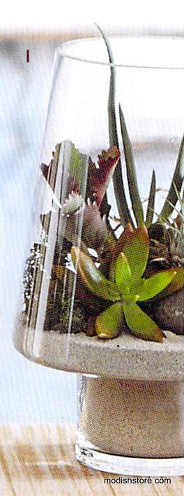 Roost Modern Glass Angle Footed Terrariums