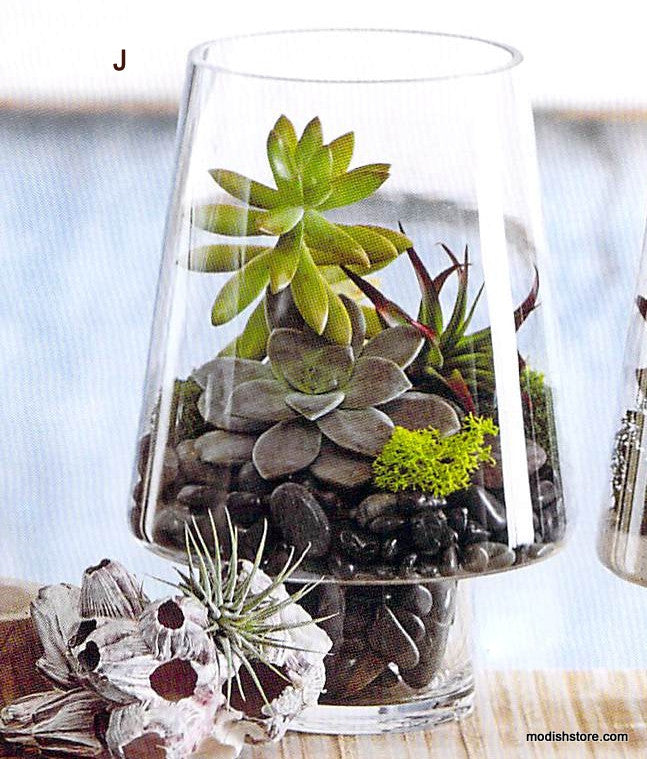 Roost Modern Glass Angle Footed Terrariums