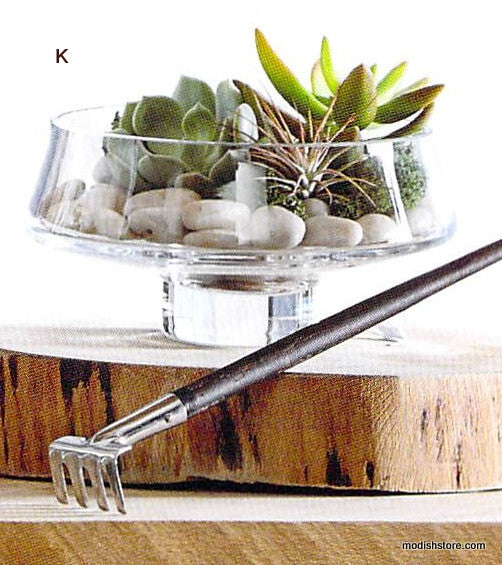 Roost Modern Glass Low Footed Terrariums