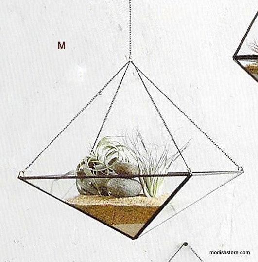 Roost Geo Hanging Terrariums
