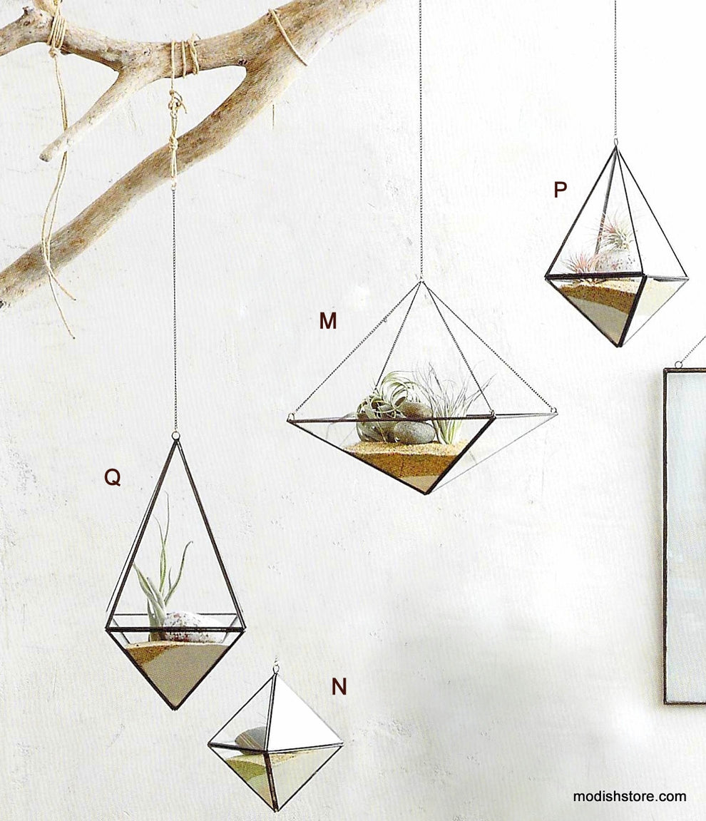Roost Geo Hanging Terrariums