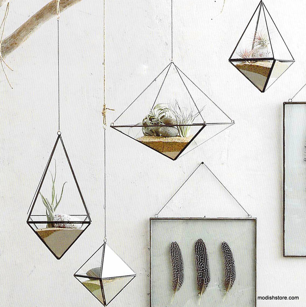 Roost Geo Hanging Terrariums