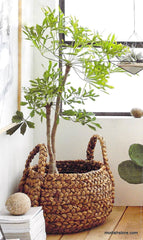 Plantana Baskets - Set Of 2