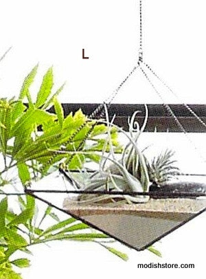 Roost Geo Hanging Terrariums