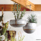 Roost Braza Tall / Wide Hanging Planters