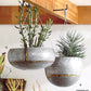 Roost Braza Tall / Wide Hanging Planters