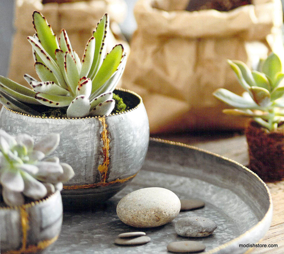 Roost Braza Mini Tall / Wide Planters