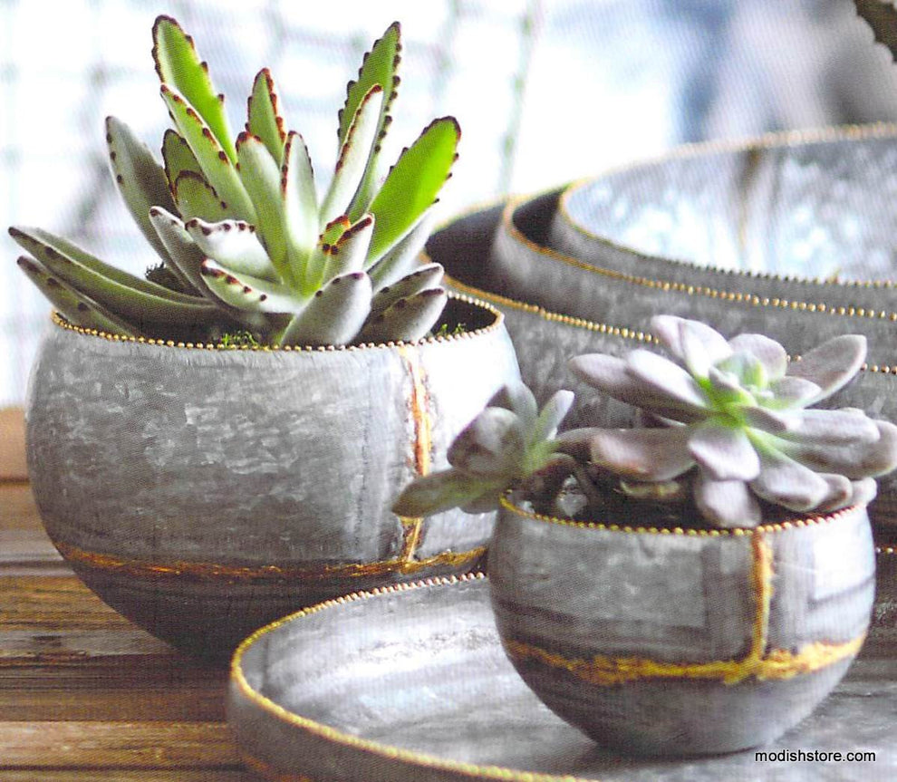 Roost Braza Mini Tall / Wide Planters