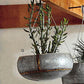 Roost Braza Tall / Wide Hanging Planters