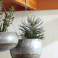 Roost Braza Tall / Wide Hanging Planters
