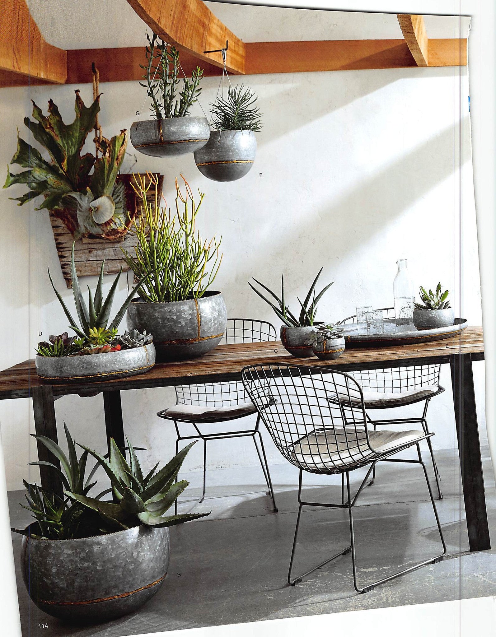 Roost Braza Tall / Wide Hanging Planters