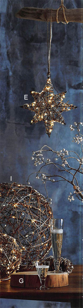 Roost Icy Willow Vine Lighted Stars & Spheres